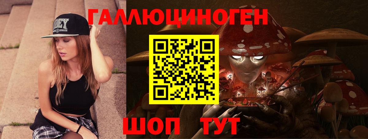 наркота  Кызыл  Псилоцибиновые грибы GOLDEN TEACHER  Галлюциногенные грибы прущие грибы 