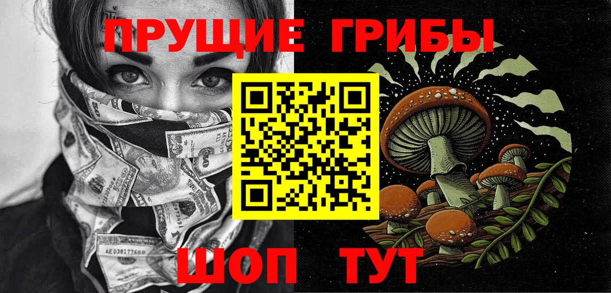 Галлюциногенные грибы Psilocybine cubensis  Галлюциногенные грибы прущие грибы  наркошоп  Вход с VPN  Кызыл 